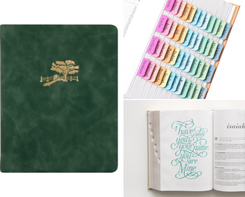 Daily Walk with God: Essentials List cover photo collage