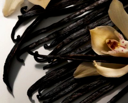 Best gourmand lotions cover photo collage