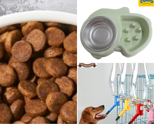 EVERYTHING FOR DOGS cover photo collage