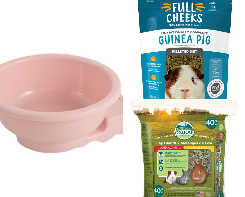 Small Animal Favorites cover photo collage