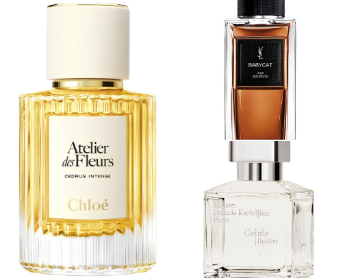 ✨️Fall fragrances🍂 cover photo collage