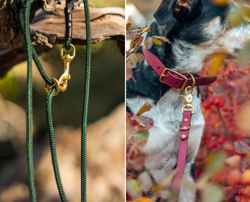Riggs's Gear cover photo collage