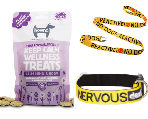 Must-Have Tools for Living With a Reactive Dog cover photo collage