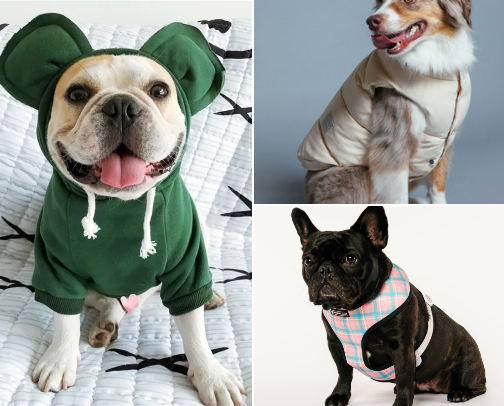 Frenchie fashion cover photo collage