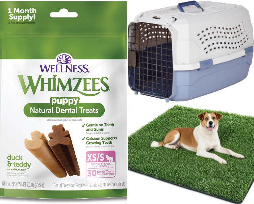 🐾 Puppy Must-Haves cover photo collage