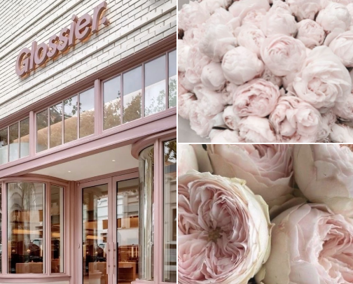 How to be a girly pink girl? cover photo collage