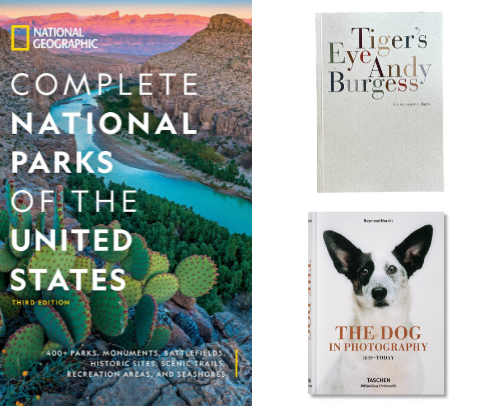 My favorite book recs cover photo collage
