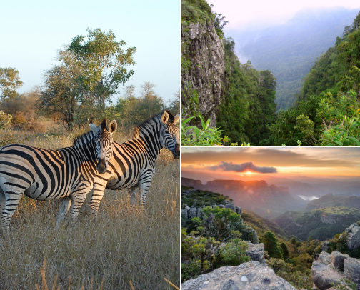 SEE SOUTH AFRICA🇿🇦 cover photo collage