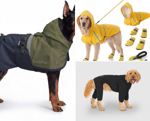 From Wet Noses to Dry Paws cover photo collage