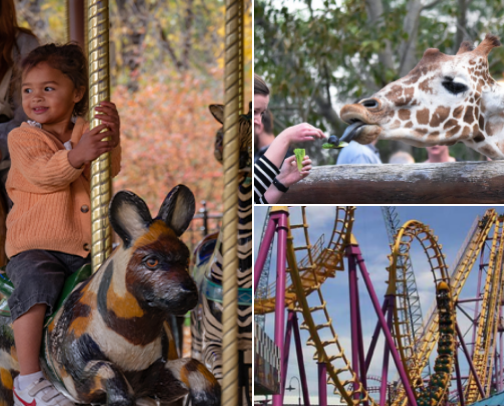 Where Kids Play & Parents Smile in Denver cover photo collage