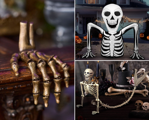 No Bones About It: Halloween is Coming! cover photo collage