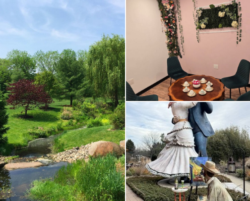 Jersey Gems… cover photo collage