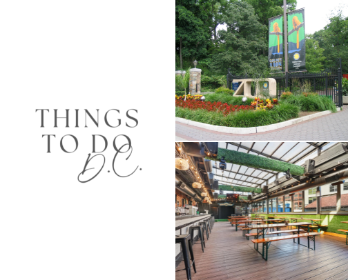 Things To Do: D.C. Edition cover photo collage