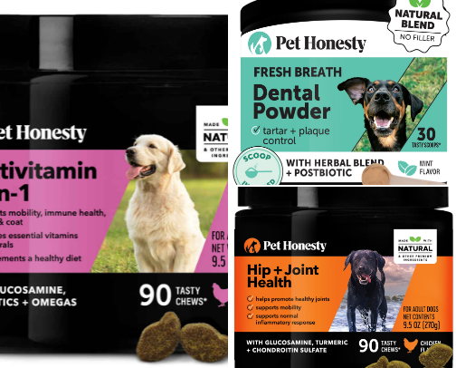Dog Health cover photo collage