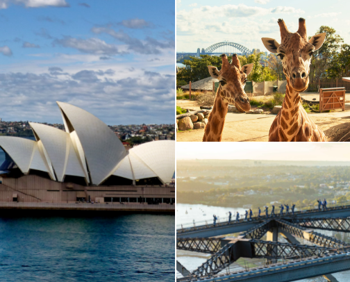 🦘What to Do in Sydney (American’s Guide) cover photo collage