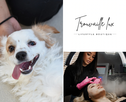 My favorite small businesses in San Antonio cover photo collage