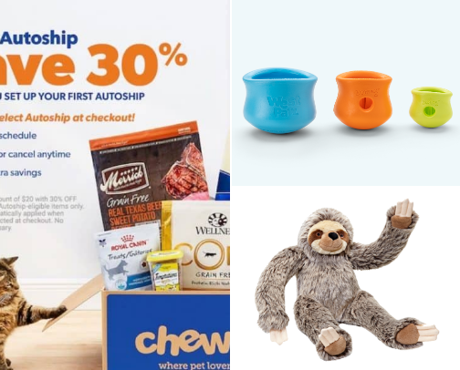 Doggie Bag cover photo collage