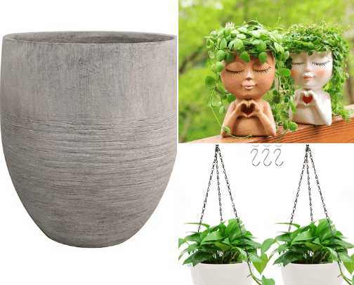 🌷🪴Plants! What did you say plants?!!!?? 🪴🌷 cover photo collage