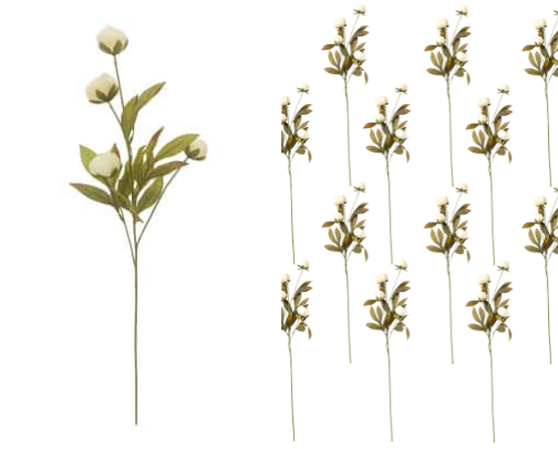 Stems cover photo collage