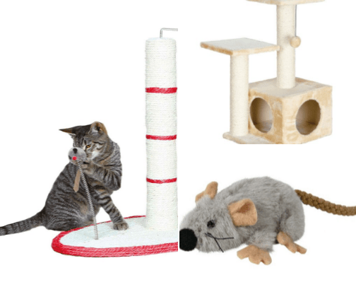 Pets cover photo collage