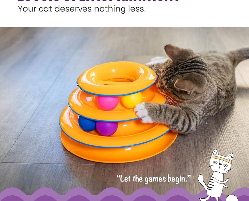 Cozy Essentials for Spoiled Cats cover photo collage