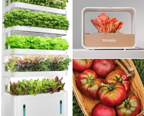 🌿 Hydroponic Gardening for Beginners & Experts 🌿 cover photo collage