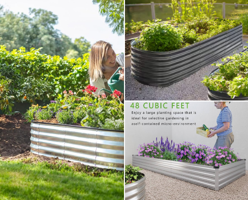 Garden Gadgets & Chicken Luv 🐥 cover photo collage