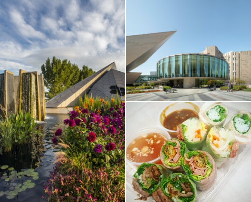 Denver for the girls that wanna be in bed by 9pm cover photo collage