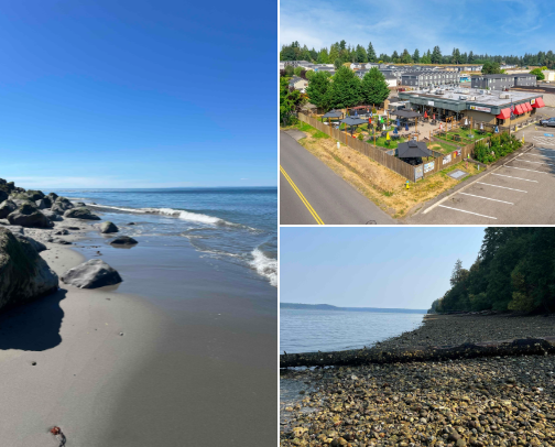 washington MUSTS cover photo collage