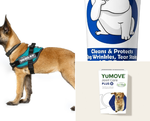 Pawsitively Essential Dog Finds & Pawsome discounts cover photo collage
