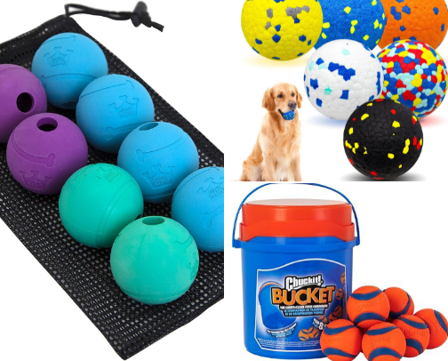 All the Fetch Essentials for Playtime cover photo collage