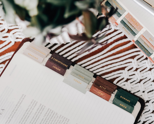 Bible Study Essentials: Let’s chat! cover photo collage