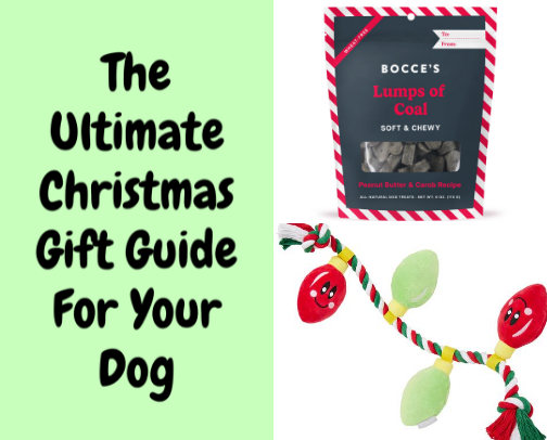 The Ultimate Christmas Gift Guide For Your Puppy! ❄️ cover photo collage