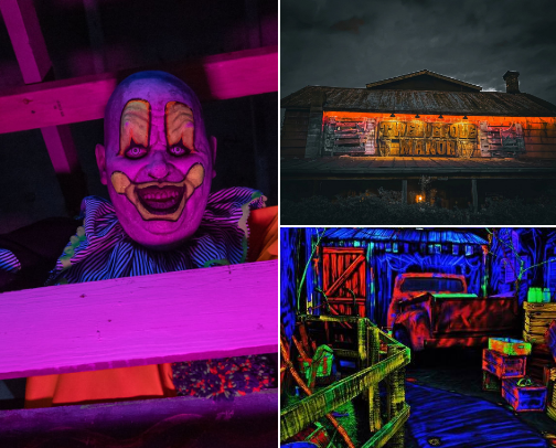 Favorite Haunted Houses cover photo collage