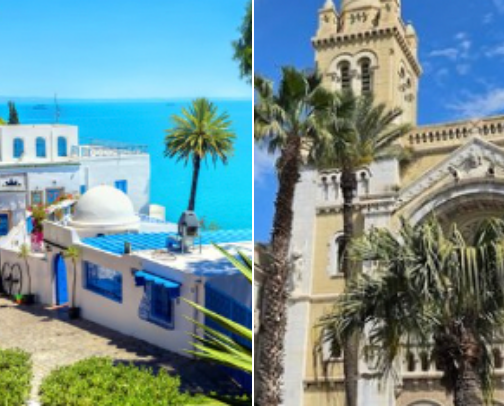 Wandering Through Tunis 🇹🇳 cover photo collage