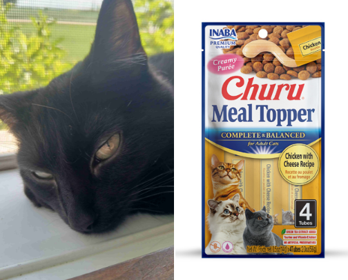 Cat Recommended Stuff cover photo collage