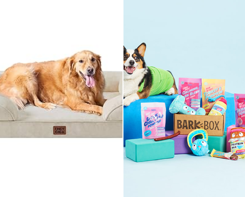 Dog Owner Must-Haves: Toys, Treats, and Essentials Your Pup Will Love! 🐾💗 cover photo collage