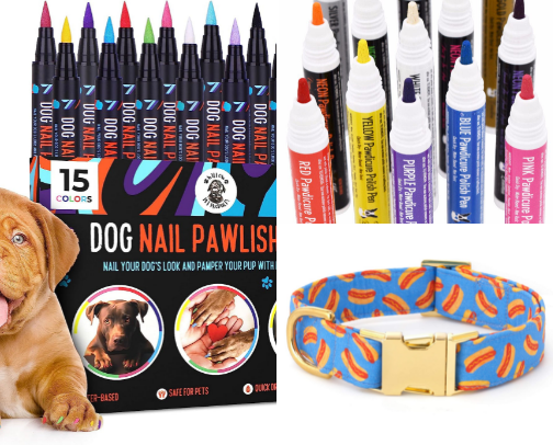Accessories for your pets cover photo collage