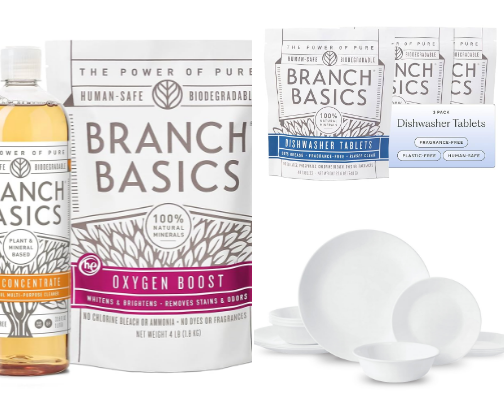 Non-toxic products that are worth the money and actually work cover photo collage