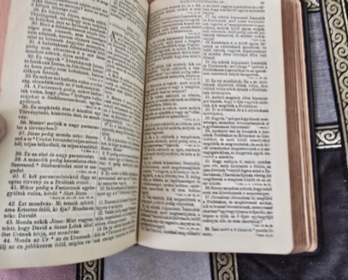 Aminger Fam Site cover photo collage