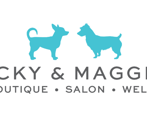 Houston's Top Shops, Pros, Spas, and Gyms cover photo collage