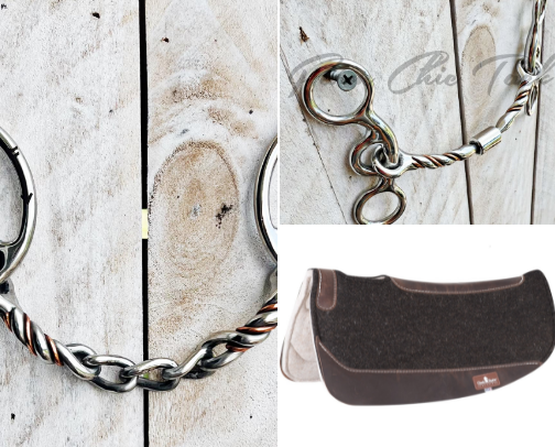 Must-Have Horse Tack! cover photo collage
