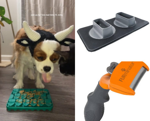 Cavalier King Charles Spaniel Must-Haves cover photo collage