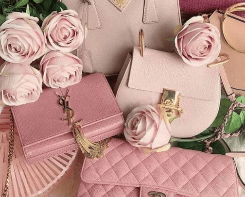 Woman Best Friend - Purse. cover photo collage