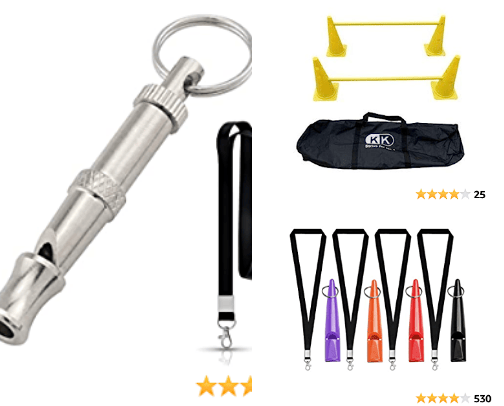 Dog Training Accessories cover photo collage