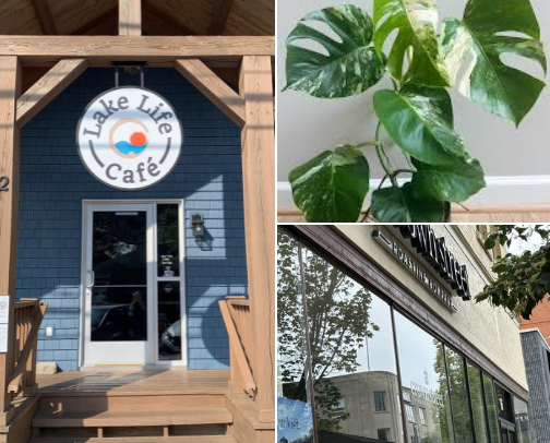 Coffee Craze cover photo collage