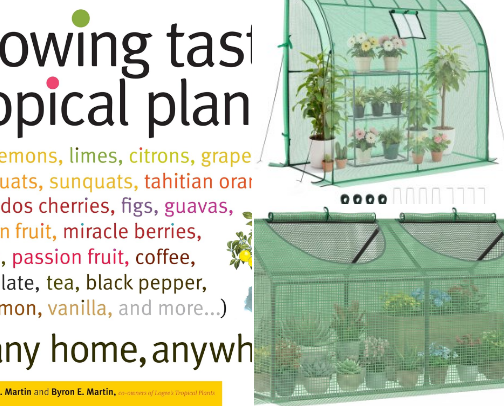 Edible Patio Gardening Must Haves cover photo collage
