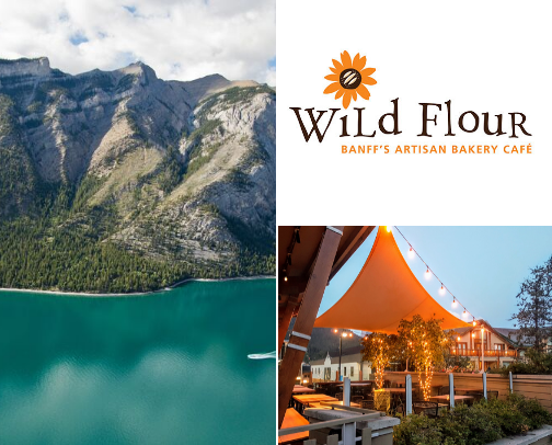 Dog-Friendly Fun in Banff cover photo collage