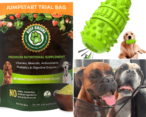 Must haves for my favorite boxers! cover photo collage