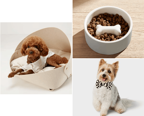 The Modern Pup cover photo collage